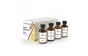 Ретушь лаковая Ritocco Semicoprente цв.03 (30мл) рустикальный дуб